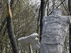 Wim Doreleijers - Atelier Strijpaard